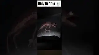 Only in Ohio cuz great meme drought #only #in #ohio #onlyinohio #meme #revival