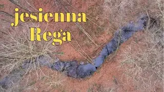 Jesienna Rega w Leśnictwie Karsib&oacute;r