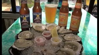 The Magic Oyster Bar & Seafood Grill
