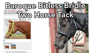Baroque Bitless Bridle in Biothane from Two Horse Tack