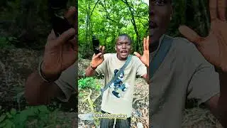 You gotta put in the work is a long run  #reels  #viralvideos #youtubeshorts