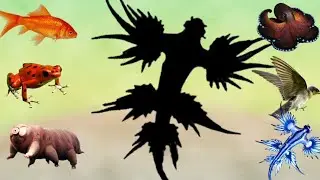 dragon 🐉 fish black image matching the correct image