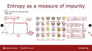 C2W4L03 Measuring Purity