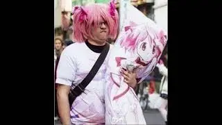a weeb song | trap kitty