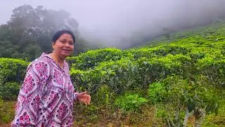Ooty Trip Day 3 |  Coonoor tea garden|Places to visit in Coonoor| Ooty Coonoor Trip|