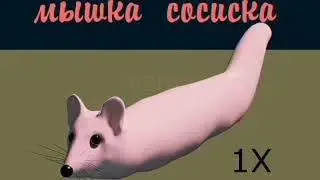 мышка сасиска