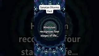 Four Stages of Life in Hinduism: Ashrama Wisdom | Better Living Together #SanatanDharma