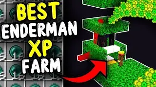 New Enderman Xp Farm 1.21 [Pe+java]