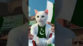 Modi roast 