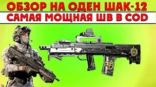 CoD MW 2019 обзор на Оден ШАК12 / Самая мощная ШВ игры.