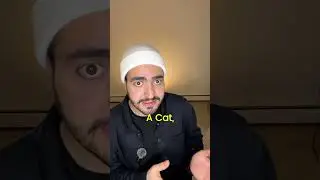 How Ai works?