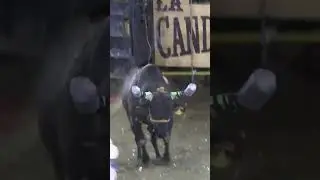 🔥GUERRERO IMPERIAL  🆚 PARDITO DE PEDERNALES 🔥 RANCHO LA CANDELARIA EN CONDEMBARO MICHOACAN 2025