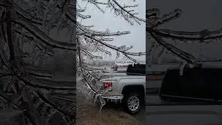 Ice Storm Devastates Central Ontario: Nearly 48 hours of Freezing Rain Ice-Sheathed Everything!