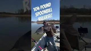 !Giant Released MUST SEE! #opg #fishing #paddlefish #spoonbill  #oklahoma