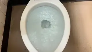 1960s Crane Santon Toilet with Siphon Jet clogged!