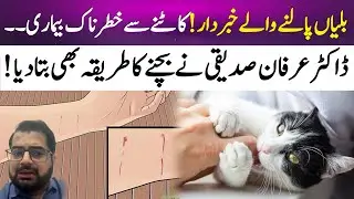 Cat owners, beware | Dr. Irfan Siddiqui reveals how to prevent rabies | 365 News