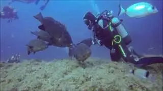 GoPro Hero 3, Bonifacio / Corse, plong&eacute;es aux &icirc;les Lavezzi (Merouville et T&ecirc;te d'homme...)