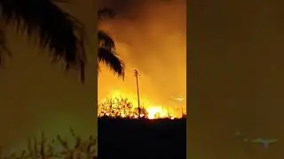 खेत मे लगी आग 🔥🔥 , #farmlife #firenews #nature #disaster #suport #song