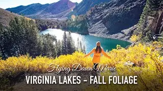 VLOG 215: Virginia Lakes Fall Colors (Eastern Sierra Nevada Mountains)