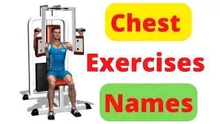 Chest Exercises Name -For Beginners