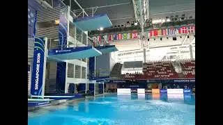 2025 SINGAPORE World Aquatics Masters Championships Diving - Platform Men 35 to 39