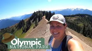 The Drive to HURRICANE RIDGE LODGE- Hiking Hurricane Hill and Mount Olympus- Olympic Washington
