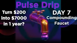 Day 7 Compounding Pulse Drip Faucet! Turn $200 into $7000 in 1 Year? pDrip Compounding Calculator