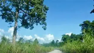 Cabinda - Road to Cabinda