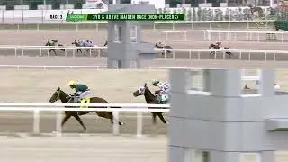 RACE 3 JAN 31 2026  3YO and Above Maiden non Placers 1400