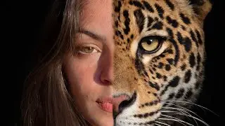 Como impulsionar mais seu canal, fazer bater as metas e melhorar suas métricas 