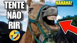 TENTE N&Atilde;O RIR: OS MELHORES MEMES DO BRASIL #videosengracados #tentenaorir #humor #comedia #memes