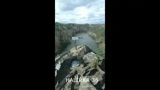 HALÍŘKA 36
