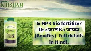 How to Use G-NPK Full Details || G-NPK Use Karne Ka Fayda || Galway Krisham || Galway anu official.
