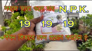 NPK 19 19 19 water soluble Fertilizer
