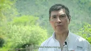 FONDO DE IMPACTO AMBIENTAL:  ECO FORESTAL I