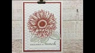 Celebrate Sunflowers with All Wired Up
