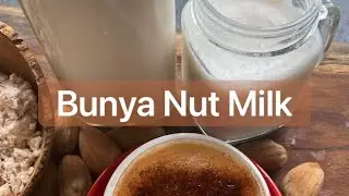Bunya Nut Milk