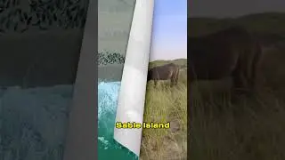 The Island That Disappears and Reappears #shorts  #fact  #quickfacts  #quickminds