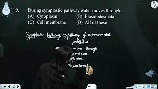 During symplastic pathway water moves through:....