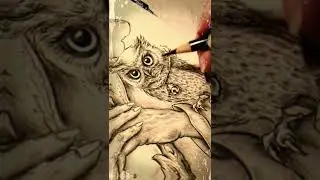 Awesome Wizard Art Piece | #Wizard #Owl #Wizard Art