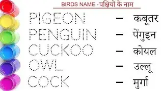 Birds Name In English | Pakshiyon Ke Naam English mein | Birds Name | Panchhiyon ke naam | 