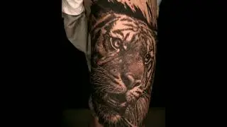 tiger tattoo by @amn_nth at alienstattooschool #tigertattoo #animalportrait