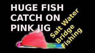 Catching Another Huge Personal Best Fish On Pink Jig