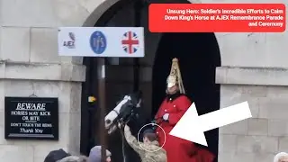 Unsung Hero: Soldier's Incredible Efforts to Calm Down Horse at Horse Guards at Mark 29:07