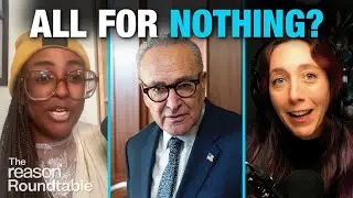 Did Democrats Blow It on the Government Shutdown?