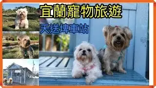 【宜蘭寵物旅遊】唯美的藍色天送埤車站&hearts;讓我們跟著小可愛旺旺一起下一站，幸福。