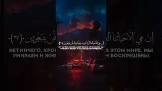Сура 23 Аль-Муминун (Верующие) 34-40 | Ясир Ад Даусари