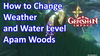 How to Change Weather and Water Level Apam Woods Genshin Impact