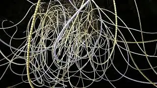 Grimanesa Amoros GOLDEN CONNECTION | Art Basel HK, Harper Bazaar Art
