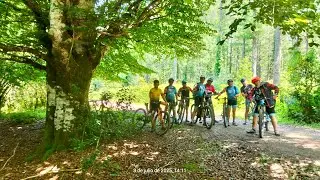 UNA AVENTURA POR LA SELVA DE IRATI 2ª Ruta 